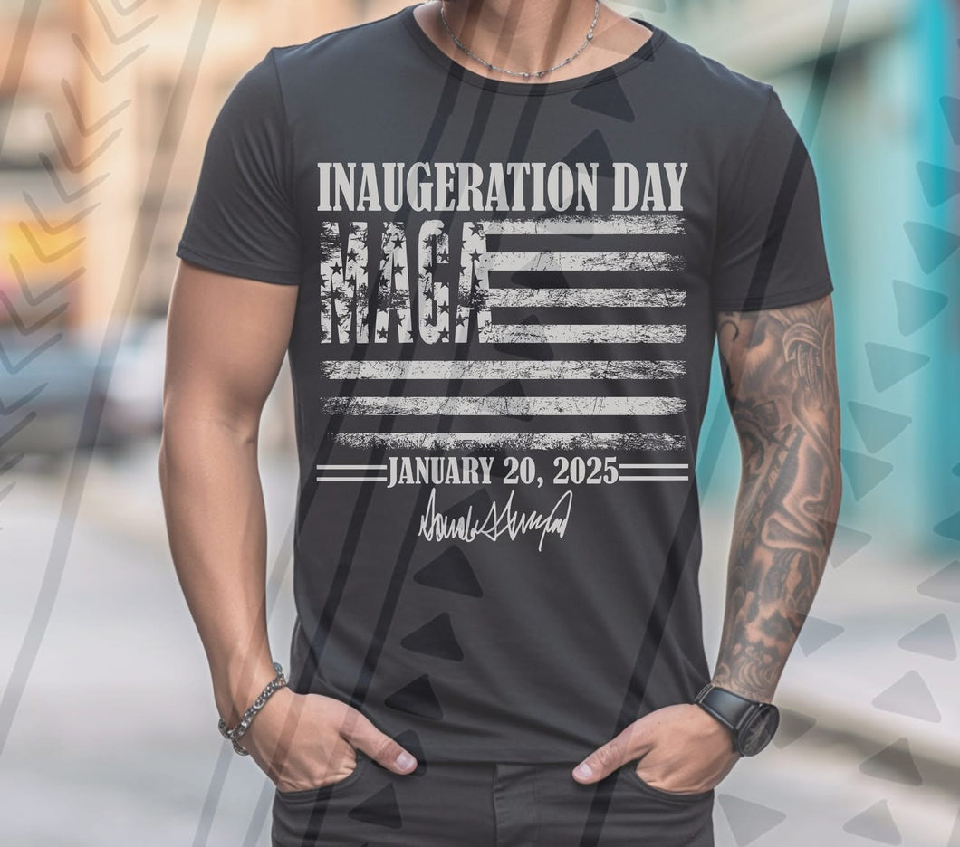 Inaguration Day Flag