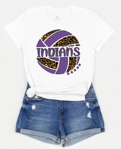 Indians Purple Volleyball Leopard Ball