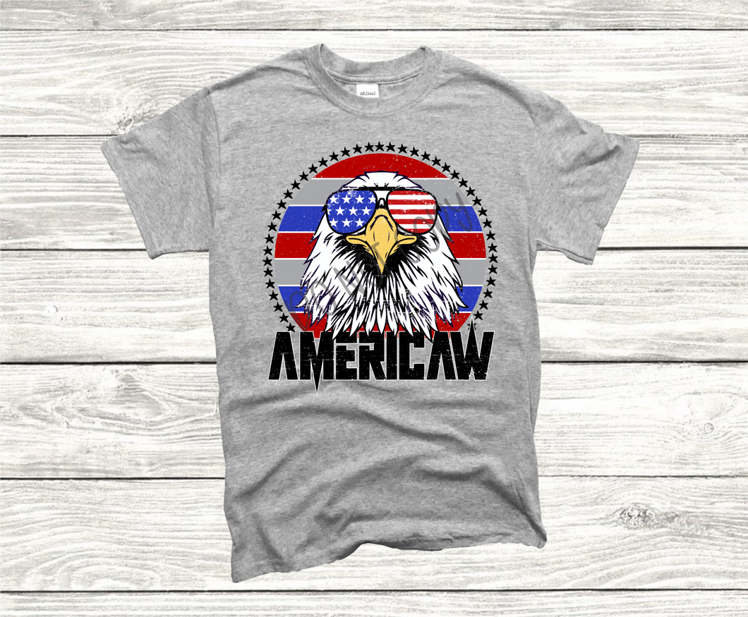 Americaw Eagle In Circle With Sunglasses Transfer