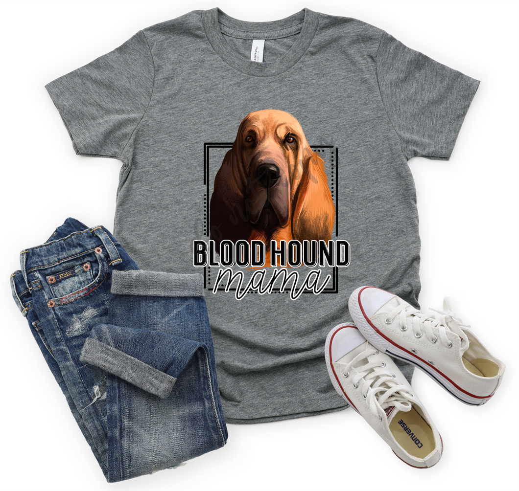 Bloodhound Mama Transfer