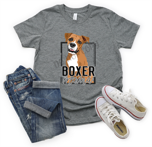 Boxer Mama Transfer