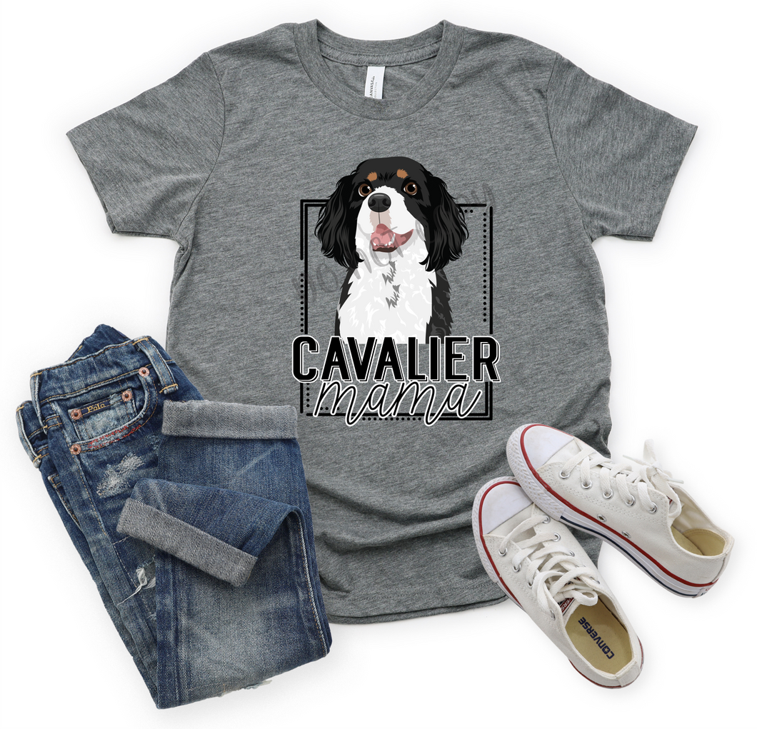 Cavalier Mama Transfer