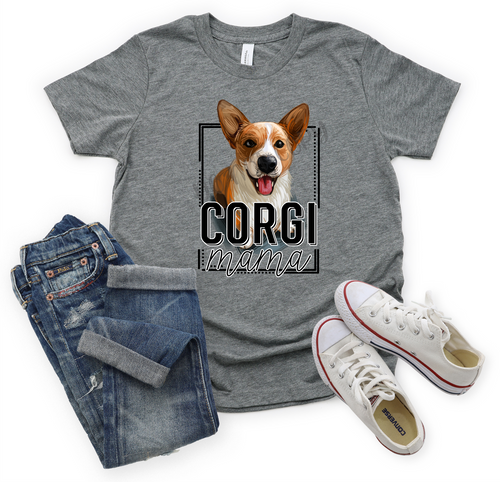 Corgi Mama Transfer