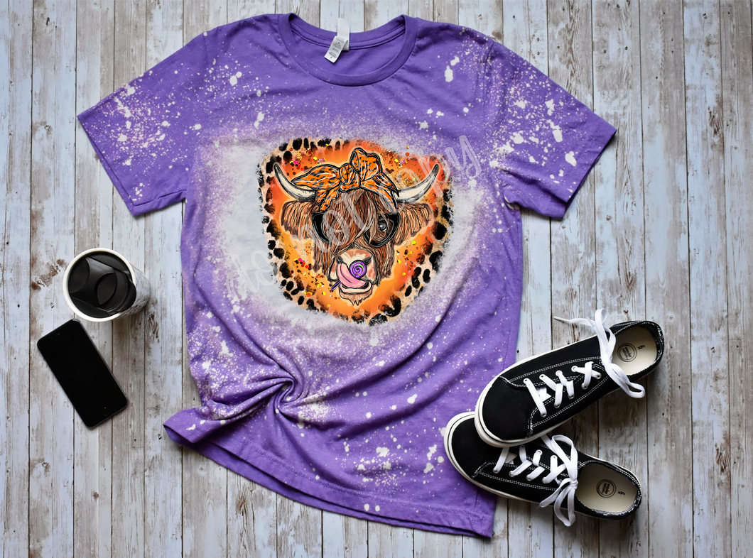 Highland Cow Halloween Candy Transfer