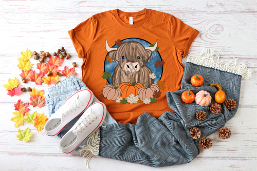 Highland Cow In Circle With Pumpkins Transfer