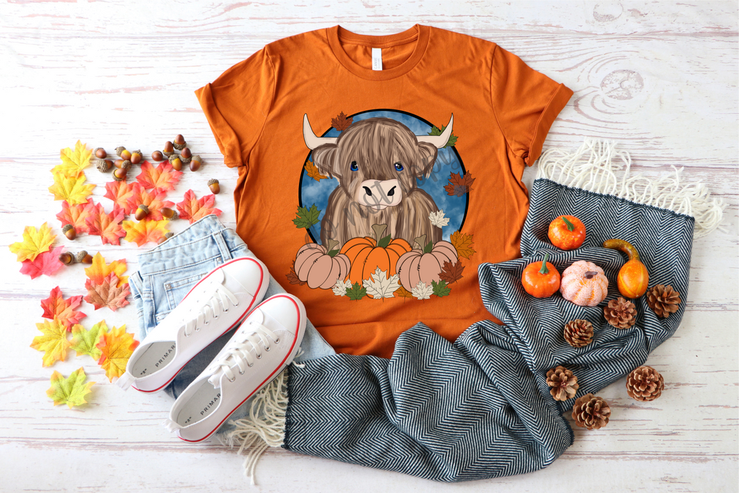 Highland Cow In Circle With Pumpkins Transfer