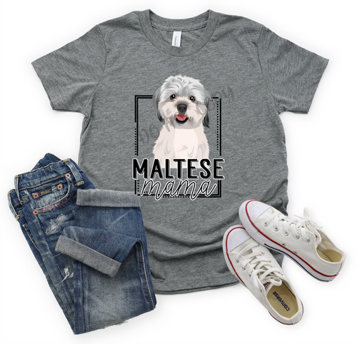 Maltese Mama Transfer