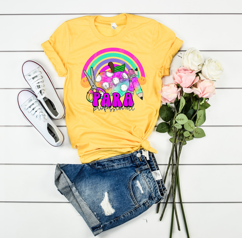 Para Professional Colorful Apple With Rainbow Transfer