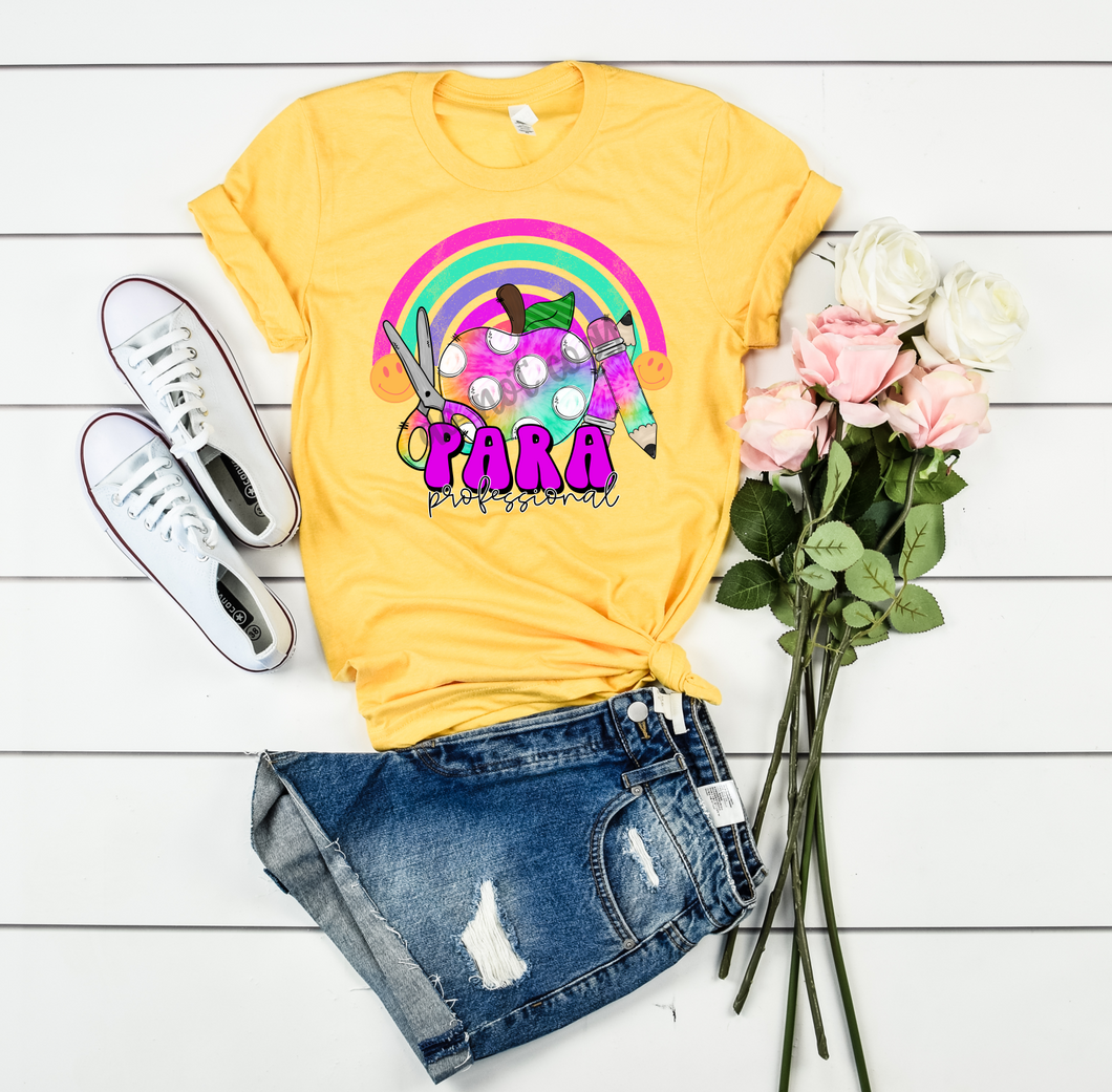 Para Professional Colorful Apple With Rainbow Transfer