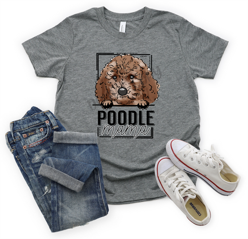 Poodle Mama Transfer