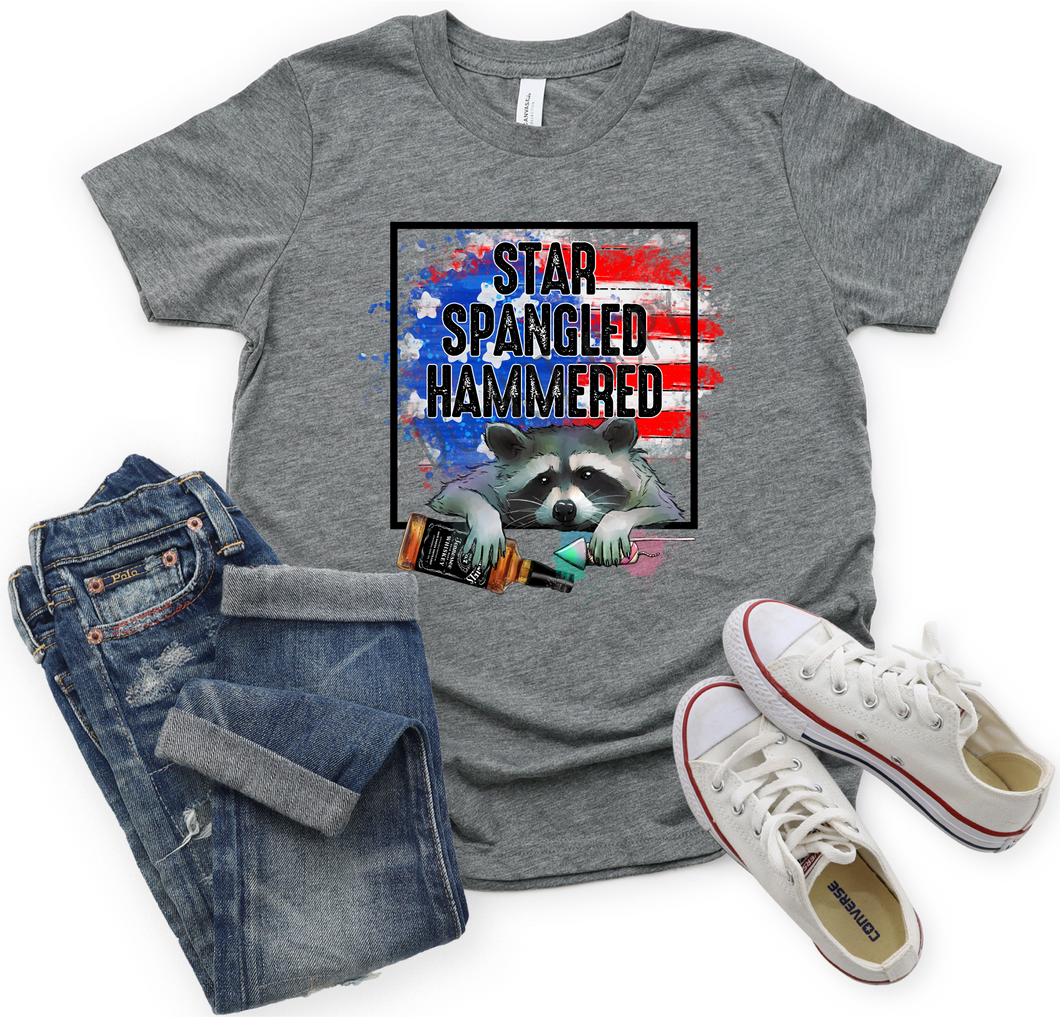 Star Spangled Hammered Racoon Transfer