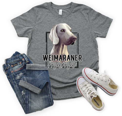 Weimaraner Mama Transfer