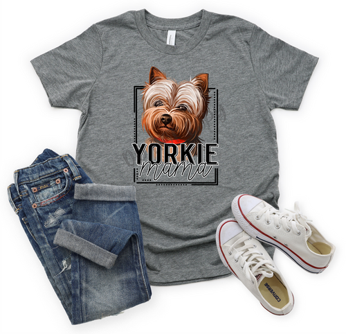 Yorkie Mama Transfer